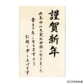 ɤΤ ˥塼䡼ʸQ  쿷ǯ 11064-020 ڥ᡼زġ 
