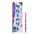  ߥˤΤܤ֥֥롼٥꡼blueberry 1  ߥˤΤܤ Ǽ̤ڥ᡼زġ