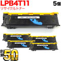 LPB4T11β