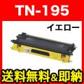TN-195Yの画像