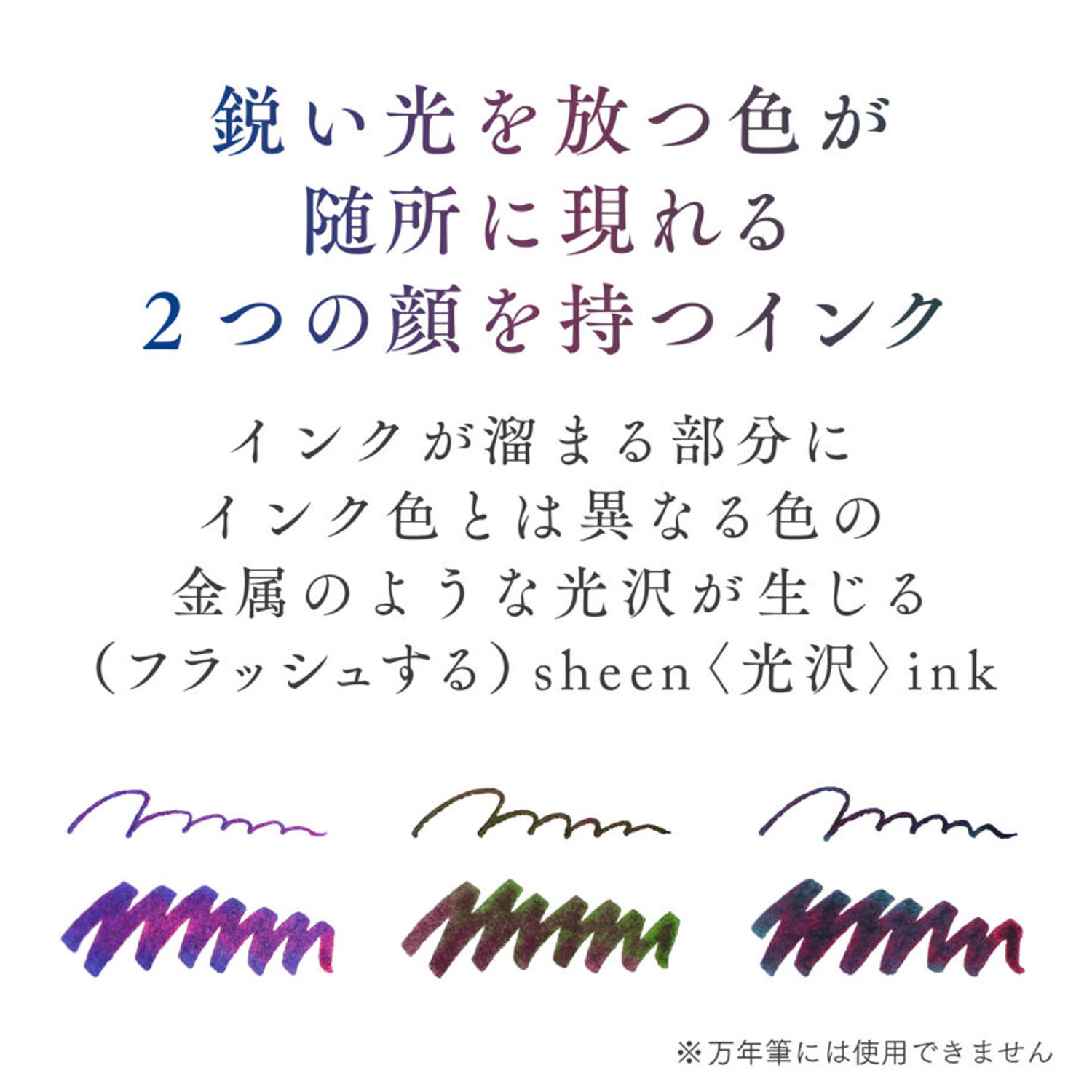 【限定】セーラー万年筆 つけペンインクセット Dipton+hocoro  10-0251【メール便不可】　全3色から選択