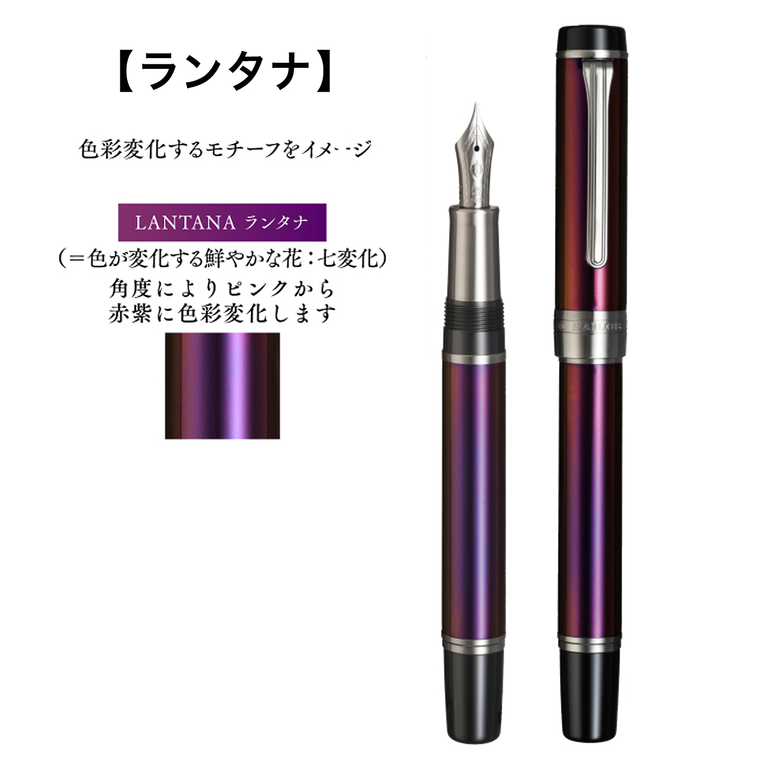 ڼʡۥ顼ǯɮ CYLINT  ǯɮ 顼ɥƥ쥹 10-6006̵ۡڥ᡼Բġۡ3