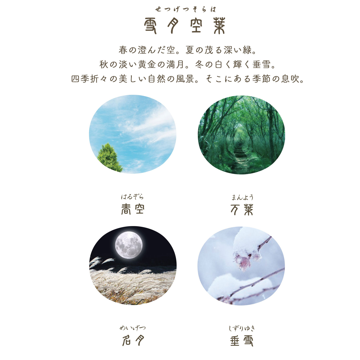 ڼʡۥ顼ǯɮ ͵ SHIKIORI ǯɮ 11-1224̵ۡ8狼