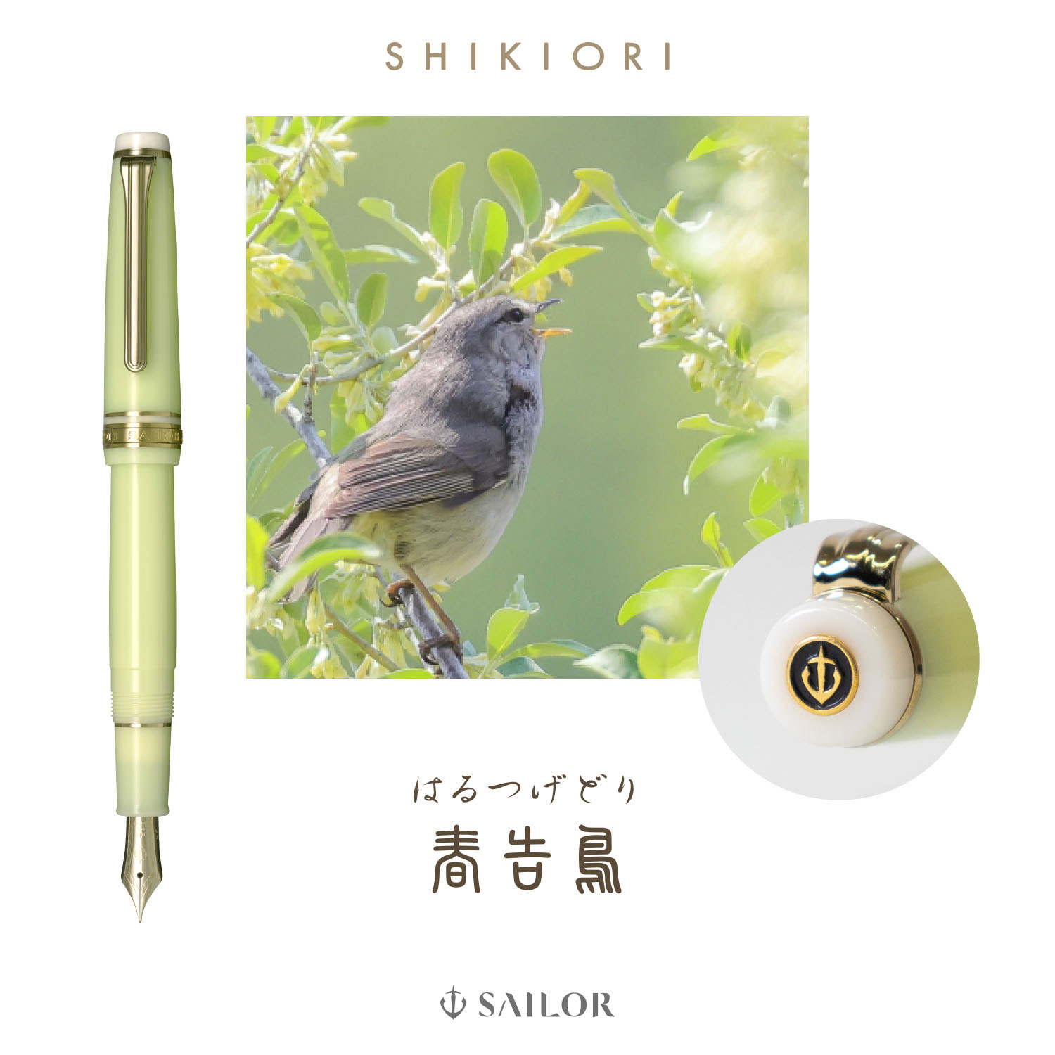 ڼʡۥ顼ǯɮ SHIKIORI ͵ α ǯɮ 11-1231̵ۡ4