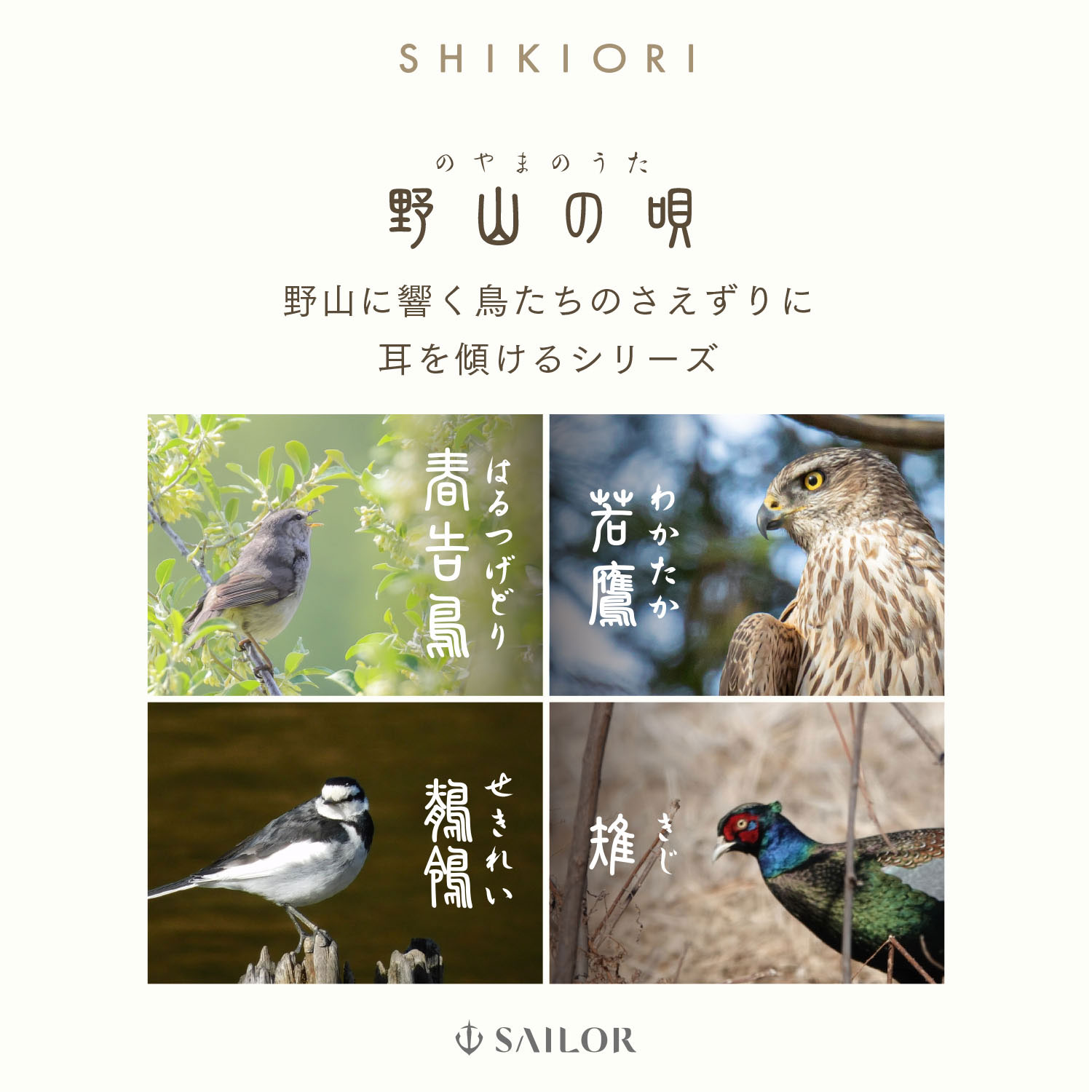 ڼʡۥ顼ǯɮ SHIKIORI ͵ α ǯɮ 11-1231̵ۡ4