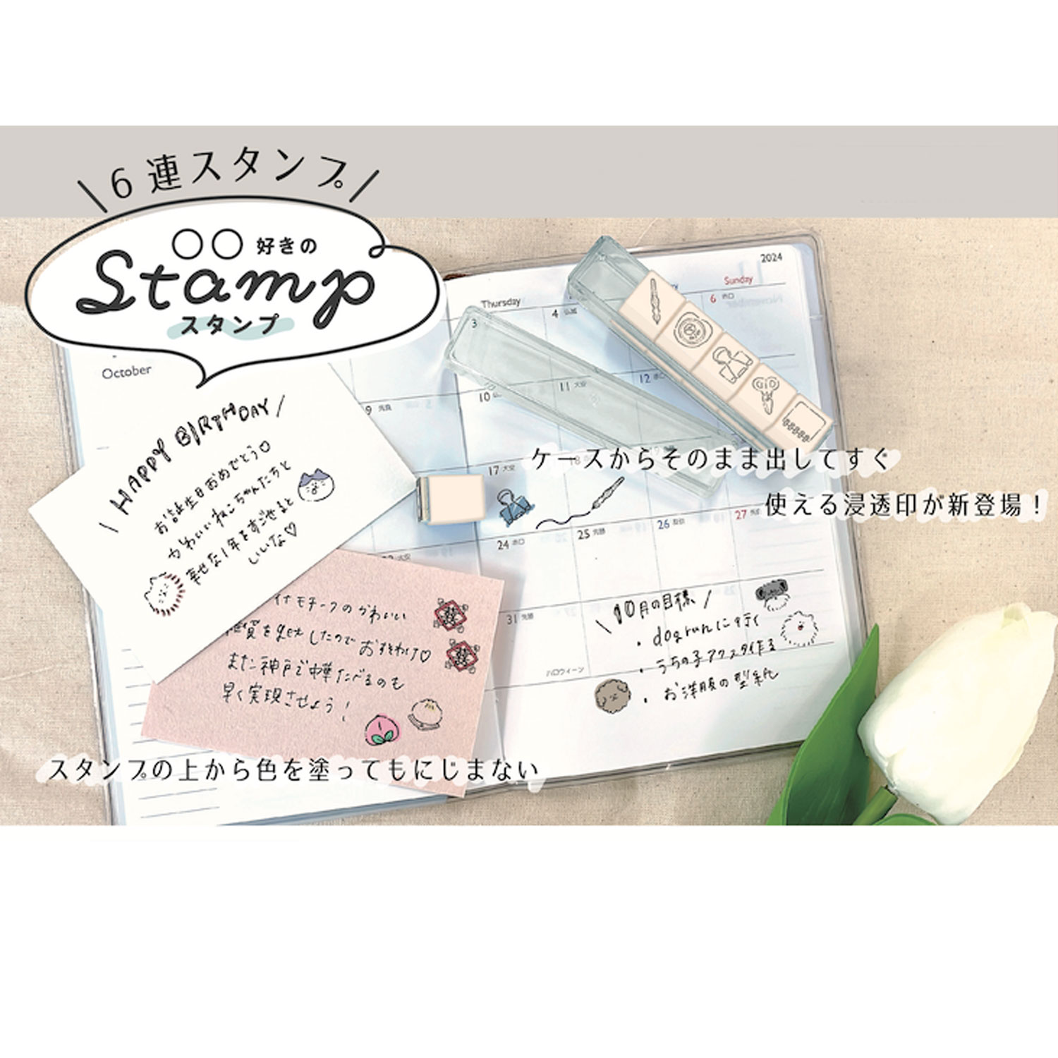 PLUS MART �ץ饹�ޡ��� 6Ϣ������� ����ưʪ���� 230892 �ڥ᡼���زġۡ�����ưʪ����