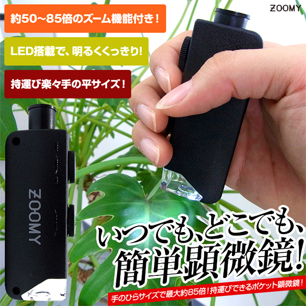 スリー・アールシステム ポケット顕微鏡 3R-ZOOMY04 (sb) 【送料無料】