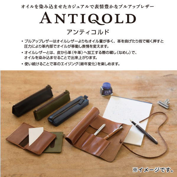PILOT ѥå ANTIQOLD ƥ ڥ󥱡M ץ륢åץ쥶  AQPSF-01ڥ᡼Բġۡ2