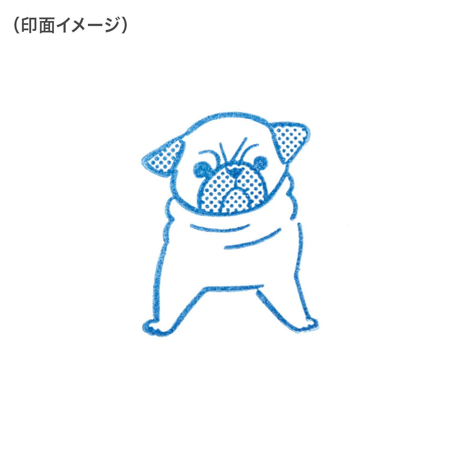 KINGJIM 󥰥 ɹ 祵  ѥ CLS33-009ڥ᡼زġۡѥ