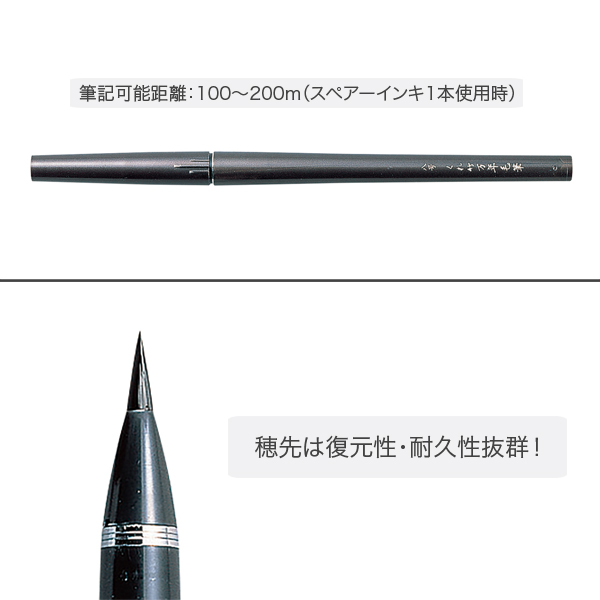  Kuretake ǯɮ  8ڥ᡼زġۡ