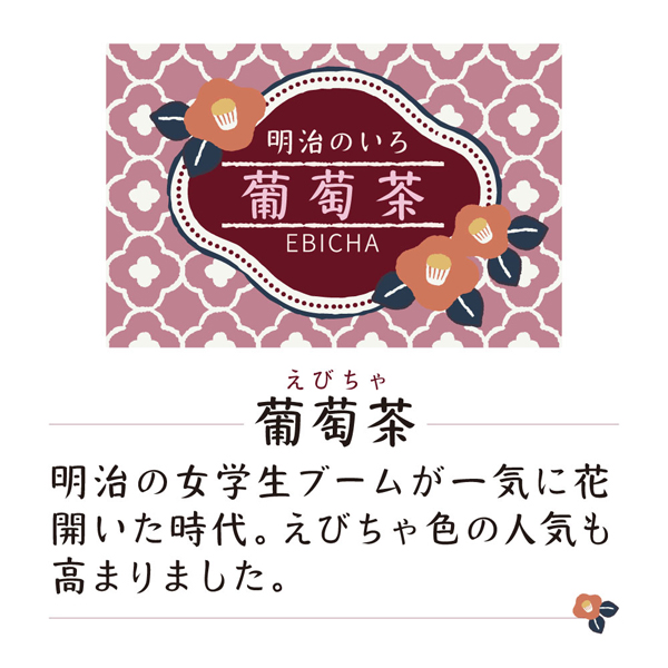 呉竹 Kuretake ink-cafe 明治のいろ インク 葡萄茶  ECF160-531【メール便不可】　葡萄茶