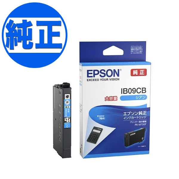 ڽ󥯡EPSON  IB09 󥯥ȥå ̥ IB09CBڥ᡼زġۡ