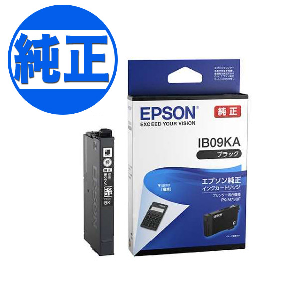 ڽ󥯡EPSON  IB09 󥯥ȥå ֥å IB09KAڥ᡼زġ֥ۡå