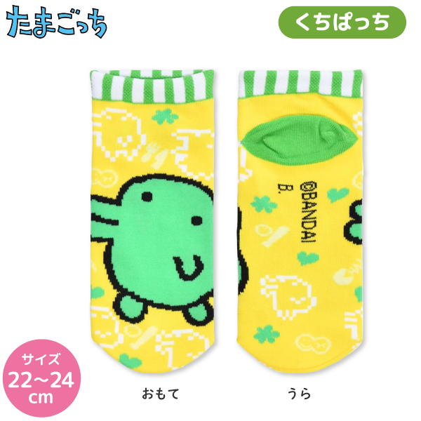 ���ޤ��ä� ����2­���å� 2 ���㥬���ɥ��å��� 22��24cm �ڥ᡼��������̵���ۡ������Ѥä����ߤߤä�