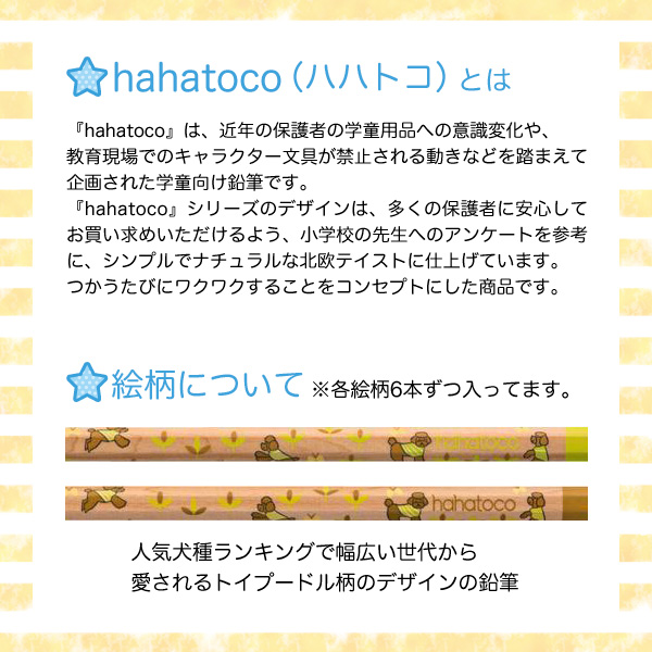 ɩɮ uni hahatoco ϥϥȥ Ȣ ɮ  1 6 HT04 D 5638[̾]̵̾ۡڥ᡼زġ[ե]ɥå 2B