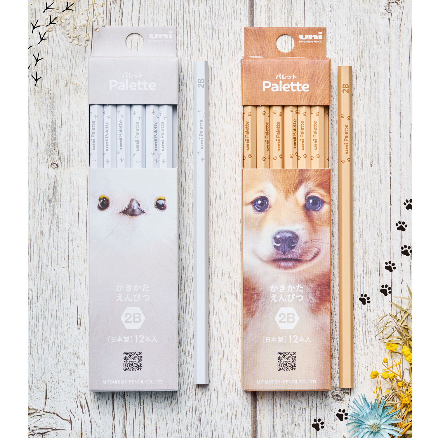 ��ɩ��ɮ uni Palette ��˥ѥ�å� ������Ȣ ����������ɮ  1������(12��) 6�� ��ե��ʥ� 5654  PLT PIS 2B�ڥ᡼���زġۡ���ե��ʥ�