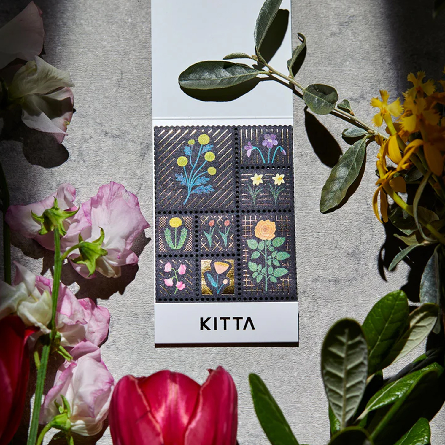 KINGJIM 󥰥 HITOTOKI ޥ󥰥ơ å KITTA Special å ڥ ե KITPP004ڥ᡼زġۡե