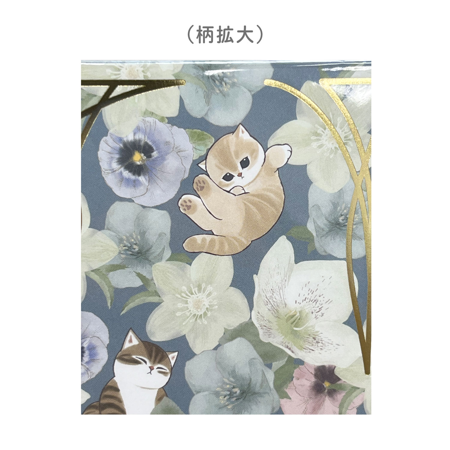 �ڸ���ۥޥ�⥯��ե� ��ե���� mofusand������ë���ť���� �ݤ��� 5�祻�å� �ڥ᡼���زġۡ��֥롼