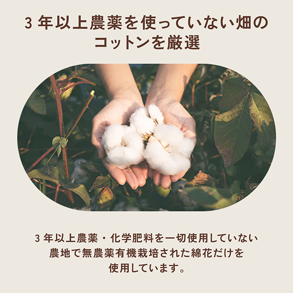 ���åȥ��� �������˥å����åȥ� ������ �� �ۿ�饤�ʡ�  10cc ��17cm ̵���� 2�ĥ��å� �ڥ᡼�����Բġۡ�24���� 2�ĥ��å�(��48��)