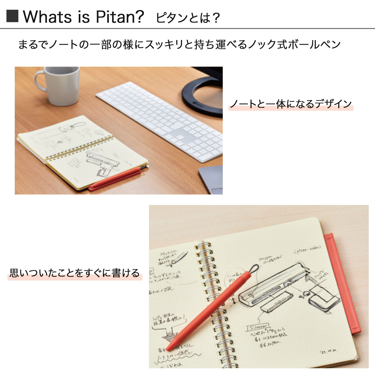 ֥ ZEBRA pitan ԥ 0.5 Ρȥۥդܡڥ  P-JJ115ڥ᡼زġۡ3