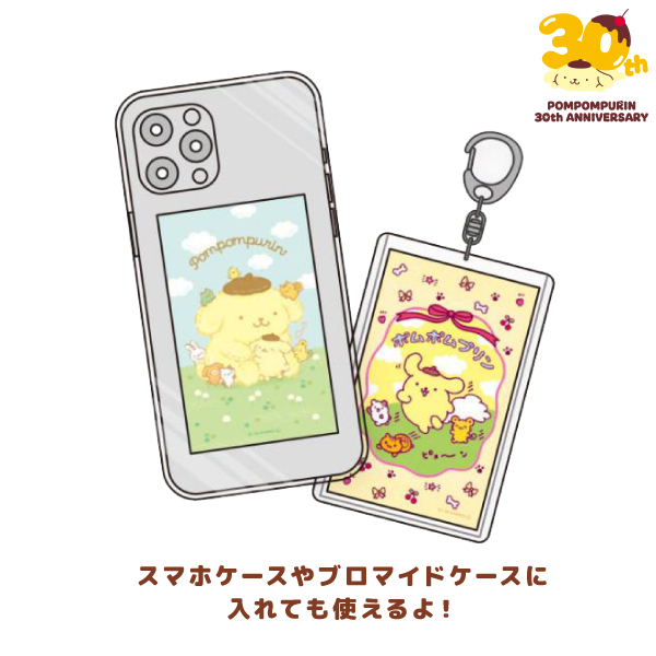 ����ꥪ �ݥ�ݥ�ץ�� 30��ǯ ��������å� ���ޥ����� 1�� �ڥ᡼���زġۡ���16�������Ǥ��Ϥ�