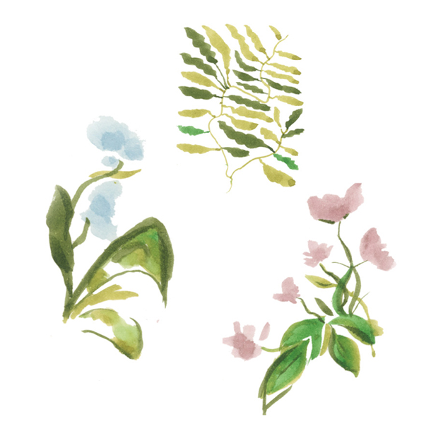 【限定】呉竹 Kuretake リアルブラッシュ＋MANGAKA 7VK 花と緑が好き　6色+1本セット RBCN/7VK【メール便可】　花と緑が好き