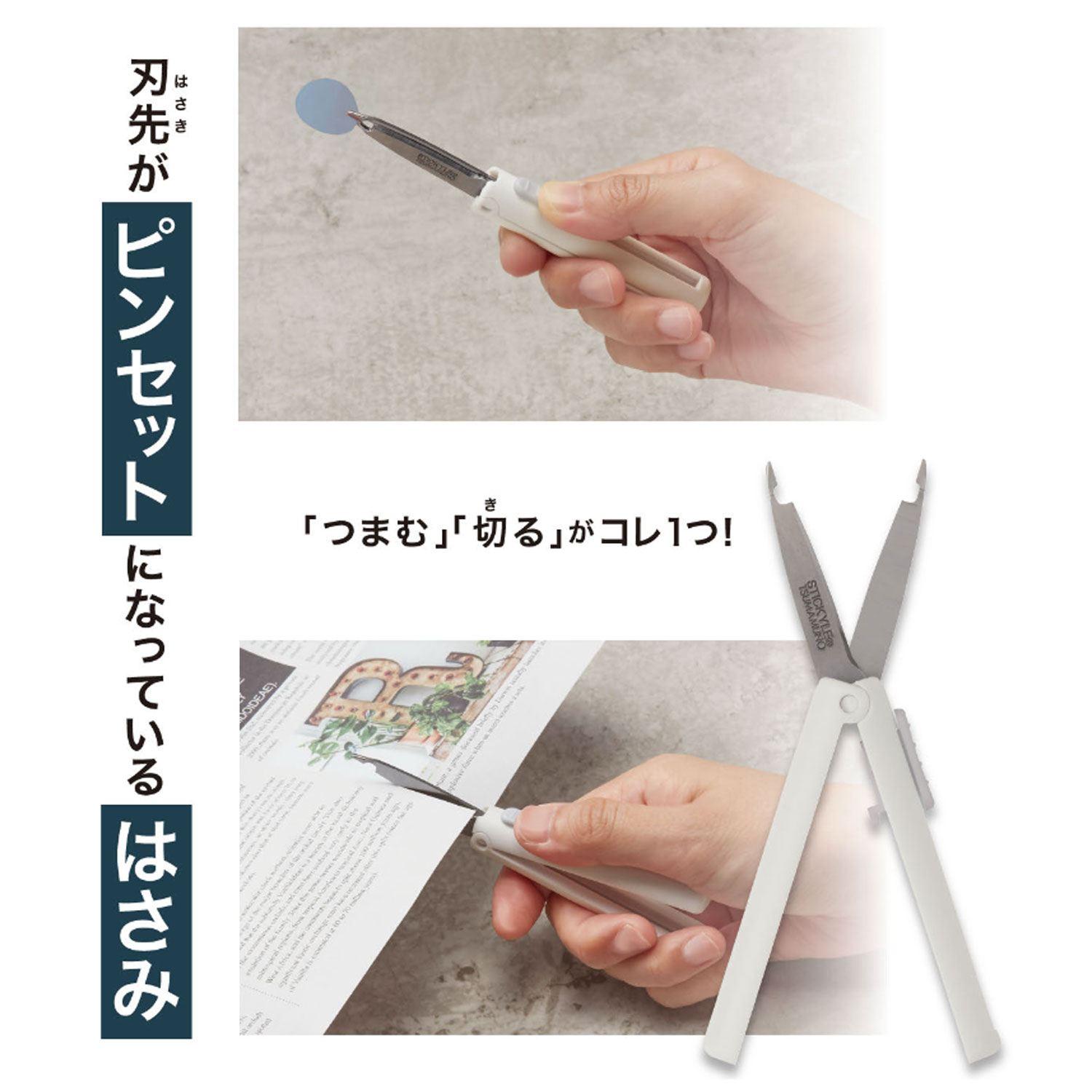 ���󥹥���ʸ�� sun-star ���ƥ��å����� �Ϥ��� TSUMAMUNO �ĥޥ�� S3722090 �ڥ᡼���زġۡ��ۥ磻��