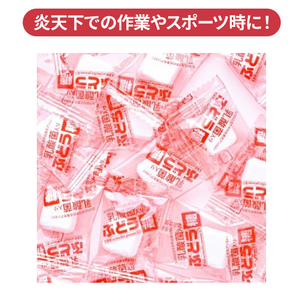 ������� ���������� �֤ɤ��� 2gx20γ 1�� �ڥ᡼���زġ� ���Ӥ����� ������ ���ͥ륮����� �֥ɥ���������������֤ɤ���