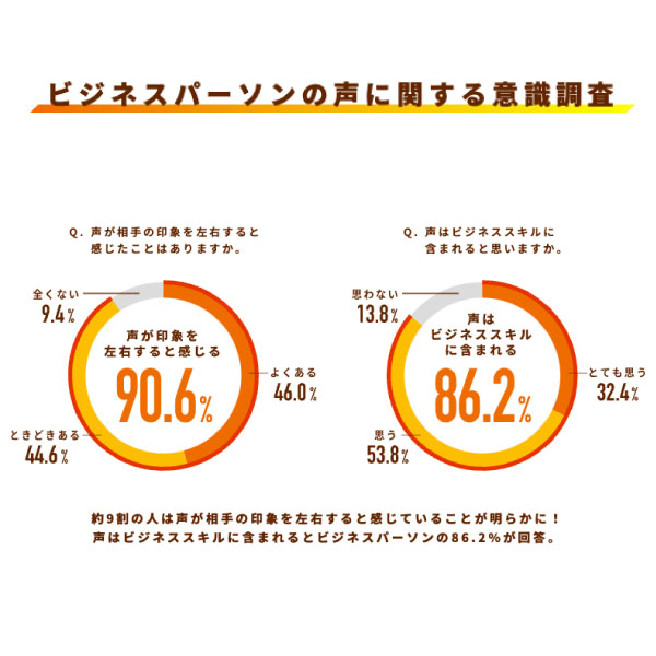 ߥƥ + VOiCE 󥸥󥸥㡼 30γ 1 ڥ᡼زġ  ɻ 뤪 Τ  ü ժ ֥åȡ