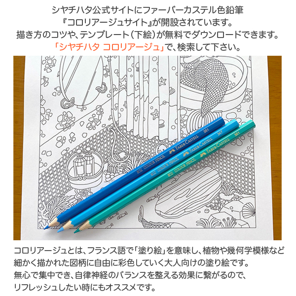 取り寄せ品】FABER CASTELL ファーバーカステル 色鉛筆 24色セット TFC-CP/24C【メール便可】 24色セット（品番：TFC-CP- 24C）商品詳細【こまもの本舗】