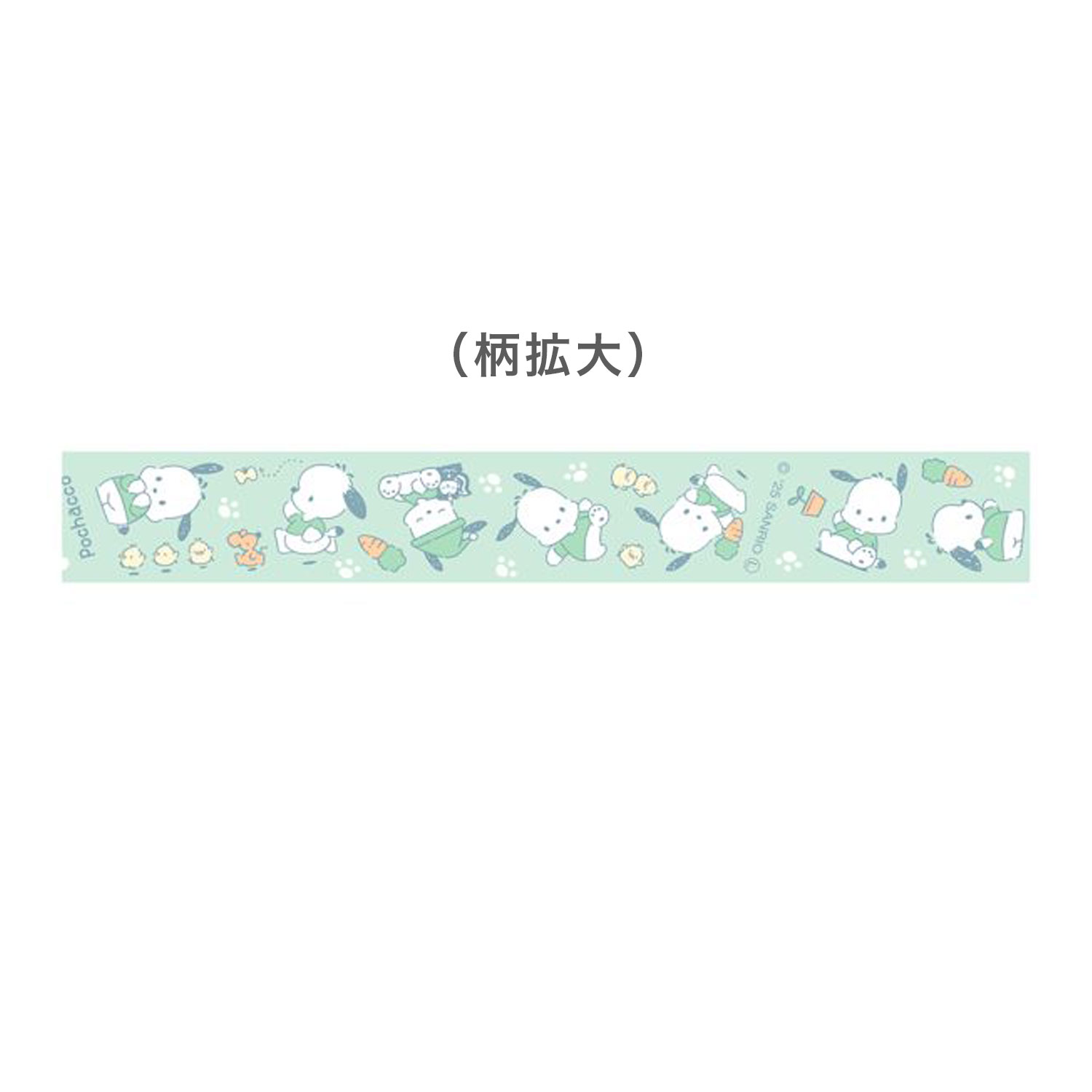 CASIO NAME LAND �͡������ �ơ��� 12mm�� ����ꥪ����饯������ �ݥ���å���  XR-12SAPC1�ڥ᡼���زġۡ��ݥ���å���